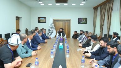 ورزشي ډیپلوماسي؛ کابل د غېږنیونې په میدان کې د تعامل نوې لار لټوي