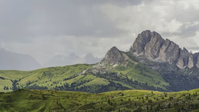 دریو ولایتونو کې څړځایونه؛ عدلیې وزارت وايي، فاریاب، بادغیس او بدخشان کې میلیونونه جریبه څړځایونه تثبیت شول