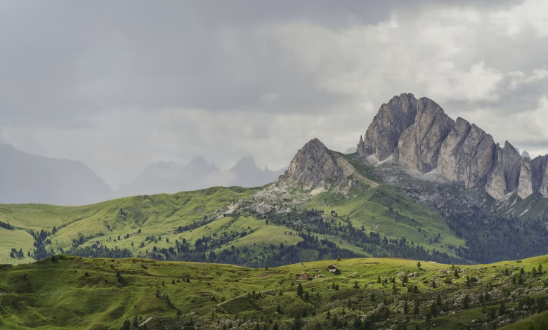 دریو ولایتونو کې څړځایونه؛ عدلیې وزارت وايي، فاریاب، بادغیس او بدخشان کې میلیونونه جریبه څړځایونه تثبیت شول