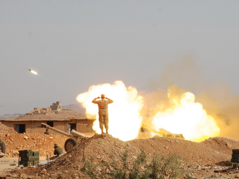 Pak artillery