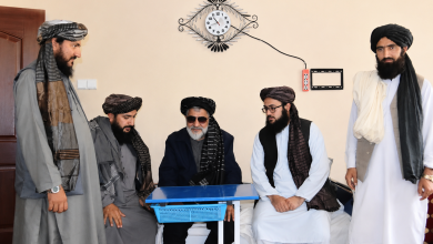 د حبیب الله رفیع هرکلی؛ د اطلاعاتو او کلتور وزارت چارواکو د نوموړي علمي خدمتونه وستایل
