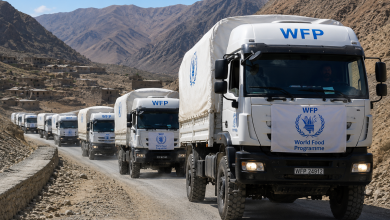 افغانستان ته د مرستو رسولو ستونزه زیاته شوې؛ WFP د لوژستیکي خنډونو خبرداری ورکړ